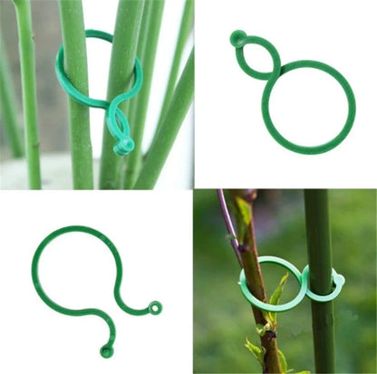 S/L 2 Size Garden Vine Strapping Clips Plant Bundled Buckle Ring Holder Tomato Garden Plant Stand Tool Garden Decor  Accessories